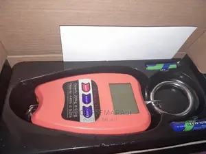 200kgs Hanging Weighing Scale
