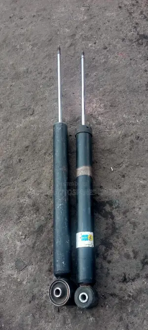 E46 Rear Shocks