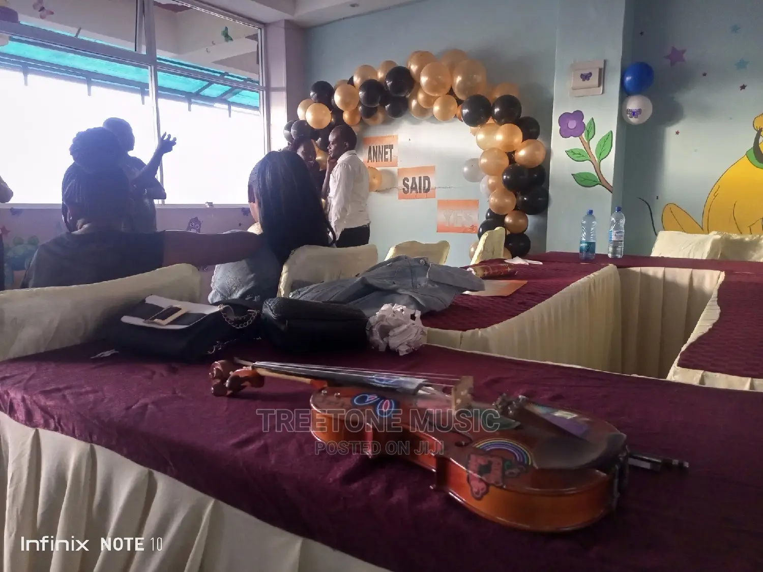 Violinist for Hire