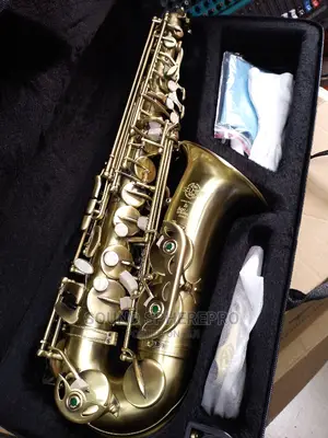 Selmer Alto-Saxaphone