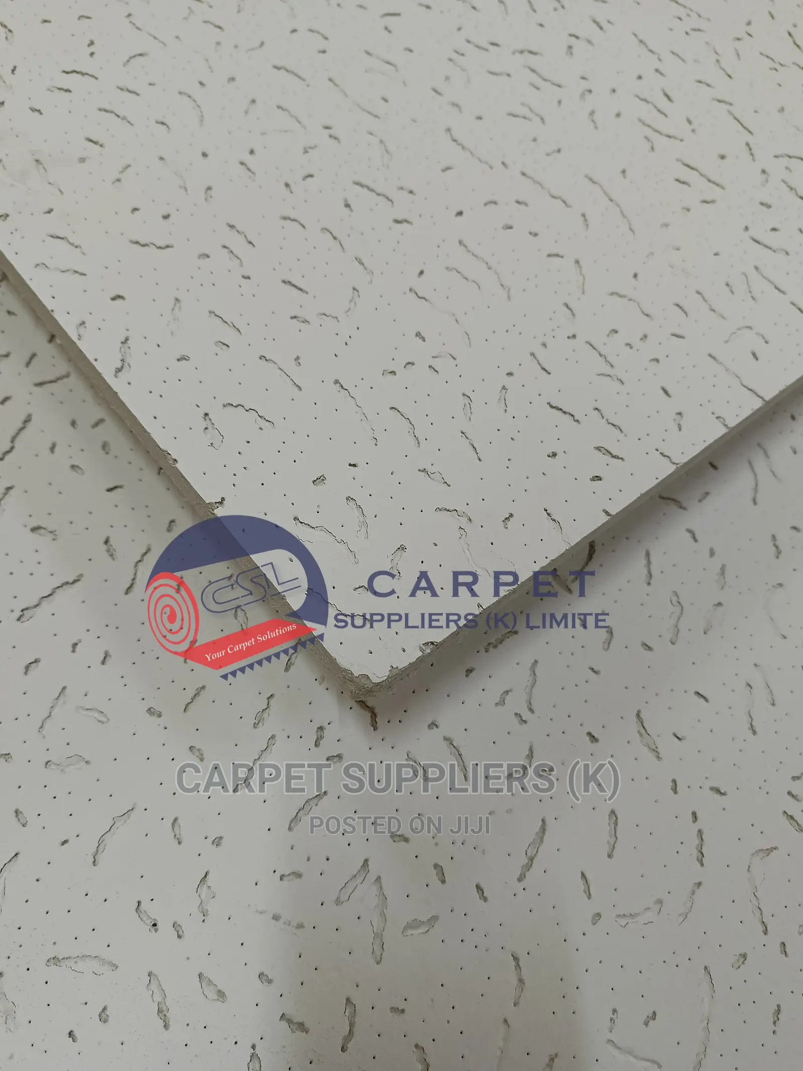 Acoustic Ceiling