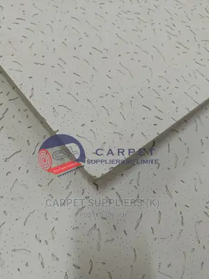 Acoustic Ceiling