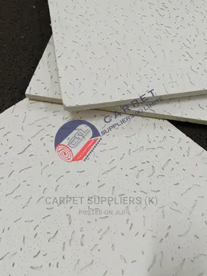 Acoustic Ceiling