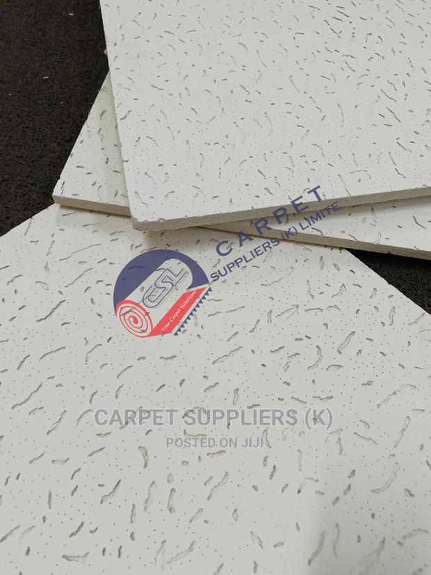 Acoustic Ceiling
