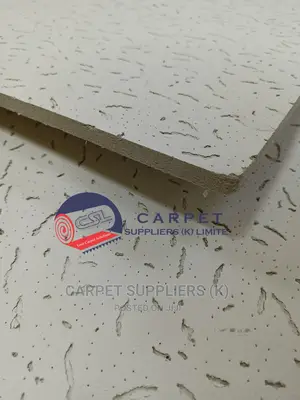 Acoustic Ceiling