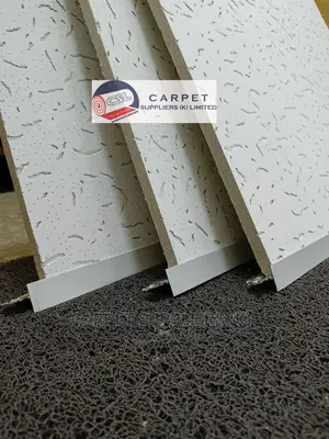 Acoustic Ceiling