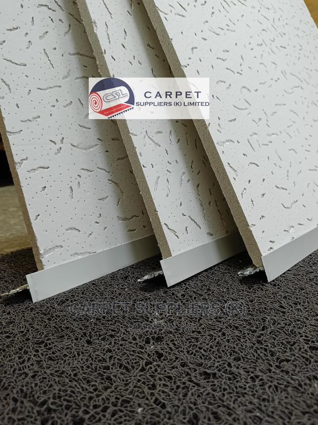 Acoustic Ceiling