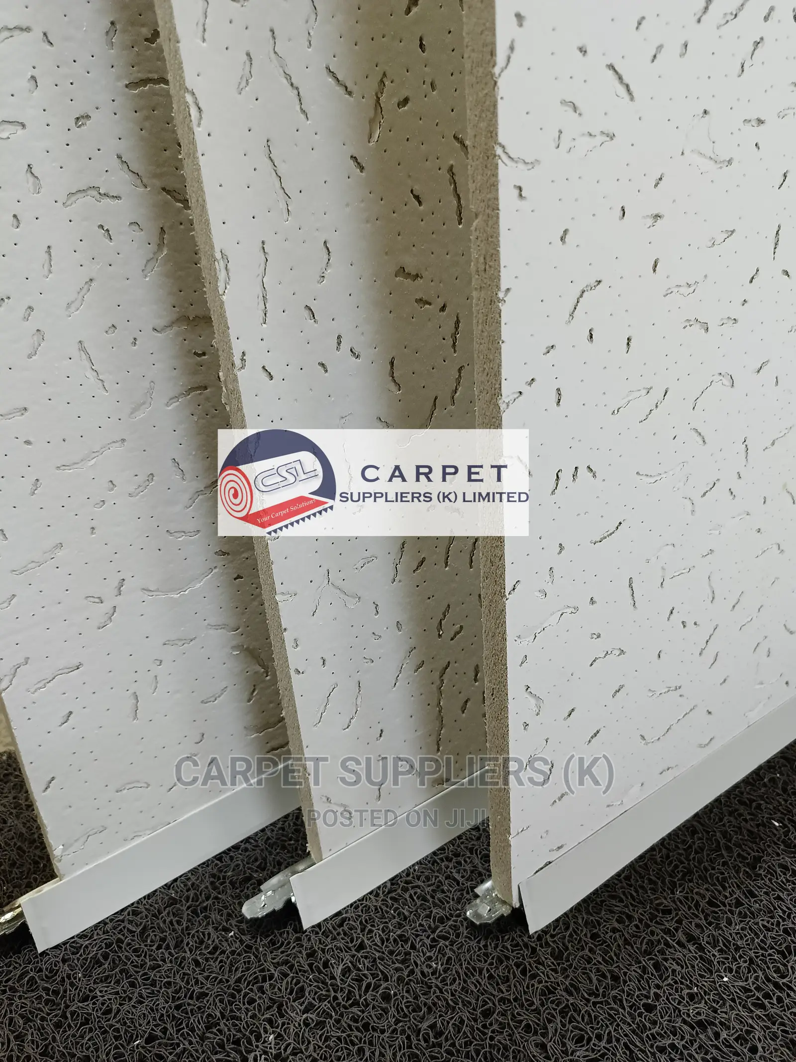 Acoustic Ceiling