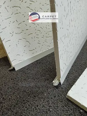 Acoustic Ceiling