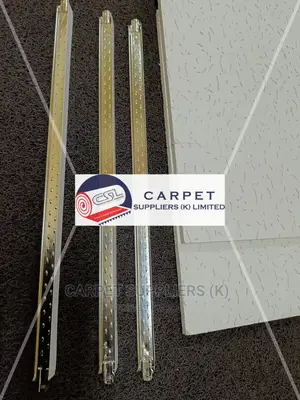 Acoustic Ceiling