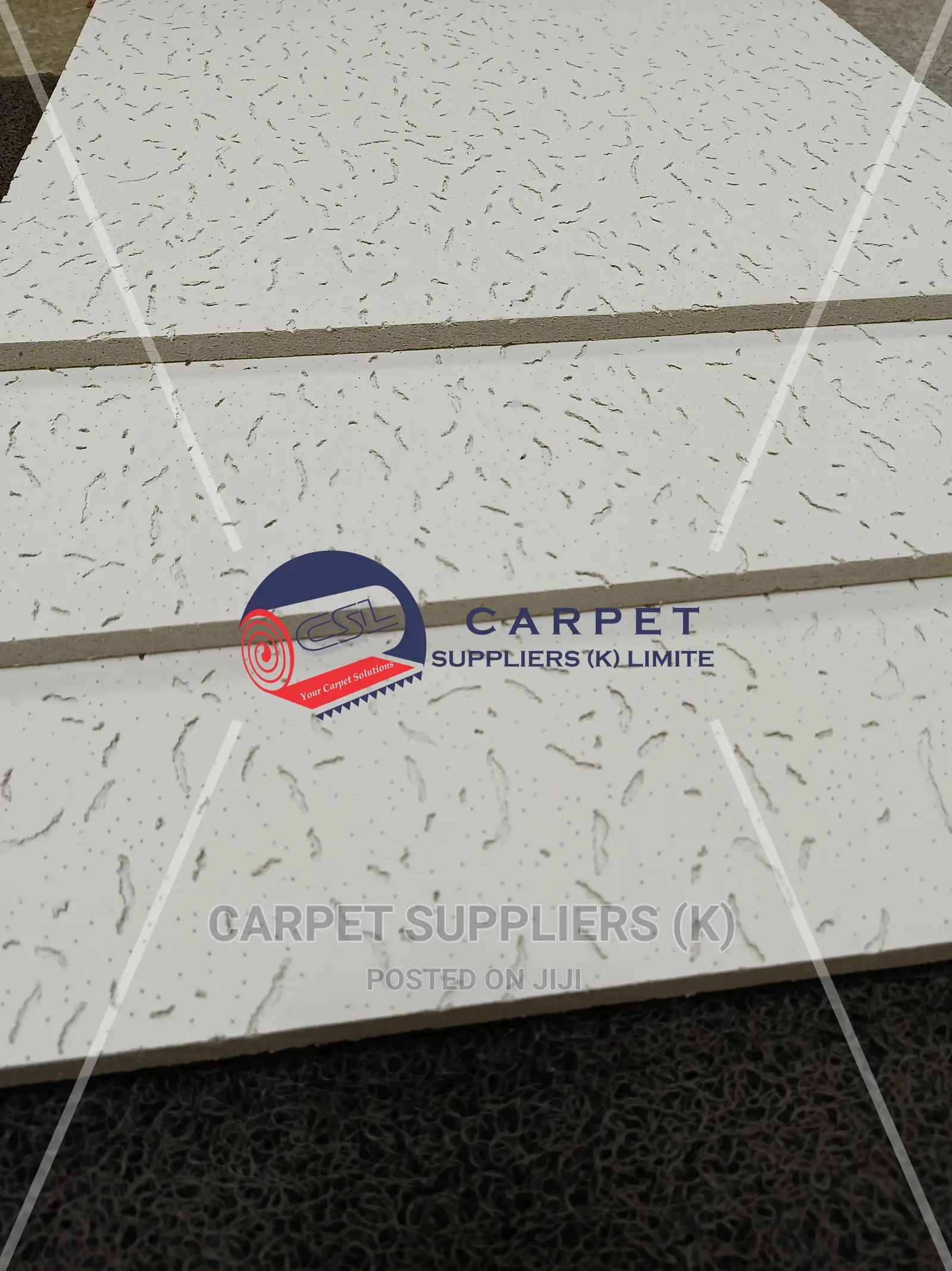 Acoustic Ceiling