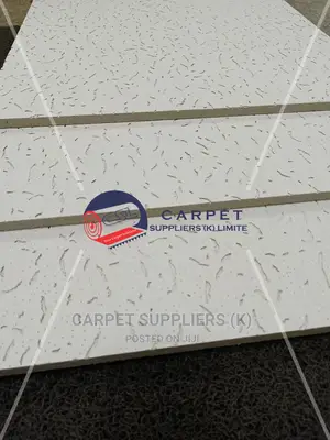Acoustic Ceiling