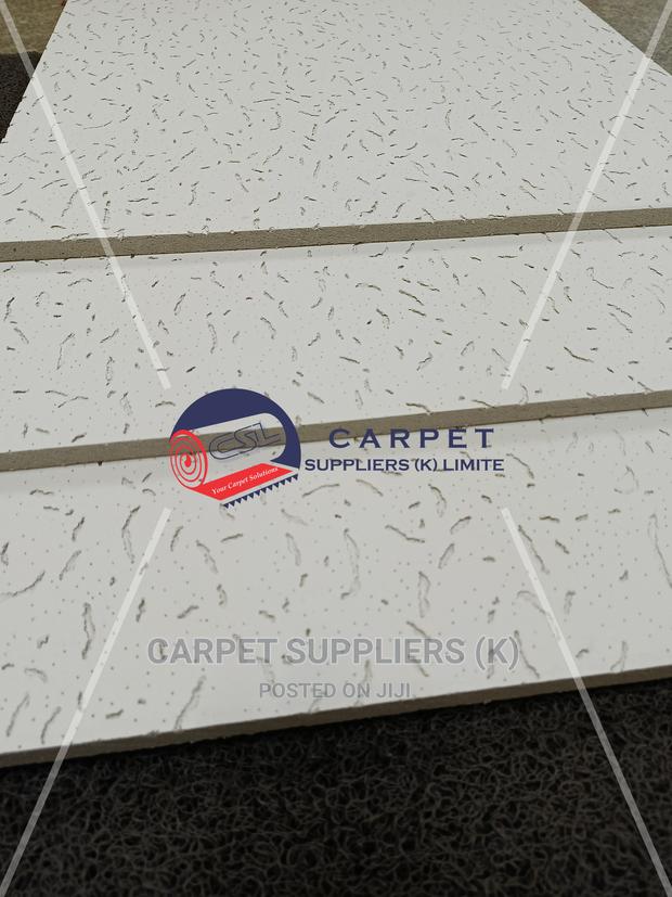 Acoustic Ceiling - main view
