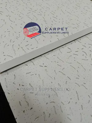 Acoustic Ceiling