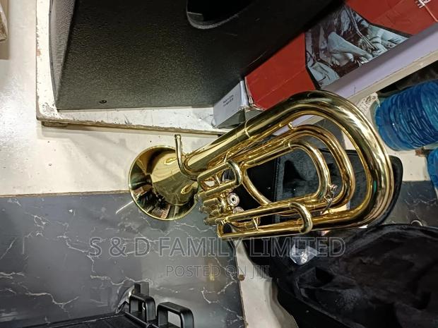 Gold Baritone - thumbnail 3