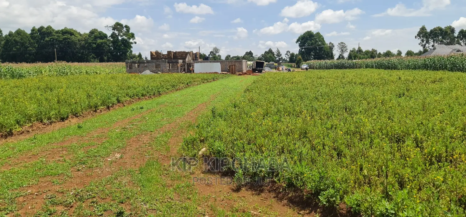 Plots for Sale in Kiplombe Opposite Proposed MTRH in Eldoret