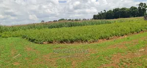 Plots for Sale in Kiplombe Opposite Proposed MTRH in Eldoret