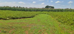 Plots for Sale in Kiplombe Opposite Proposed MTRH in Eldoret