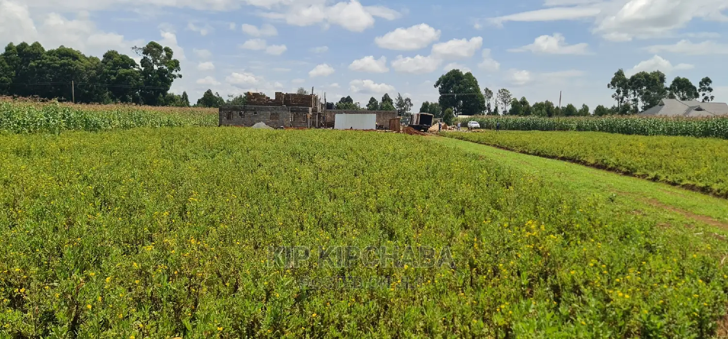 Plots for Sale in Kiplombe Opposite Proposed MTRH in Eldoret