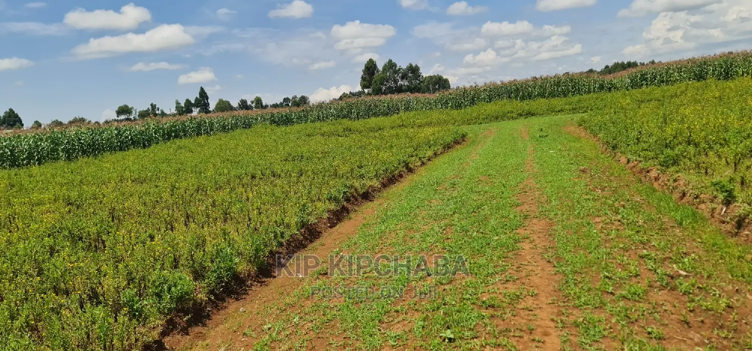 Plots for Sale in Kiplombe Opposite Proposed MTRH in Eldoret