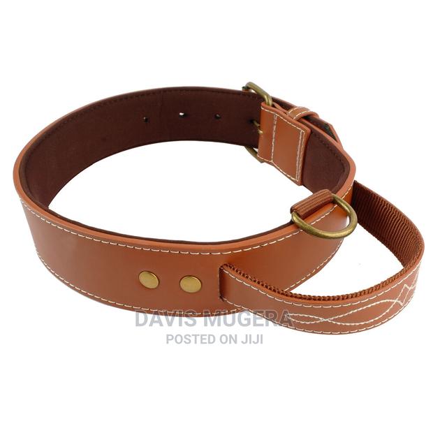 Quick Control Real Leather Dog Collar With Handle Dog - main view