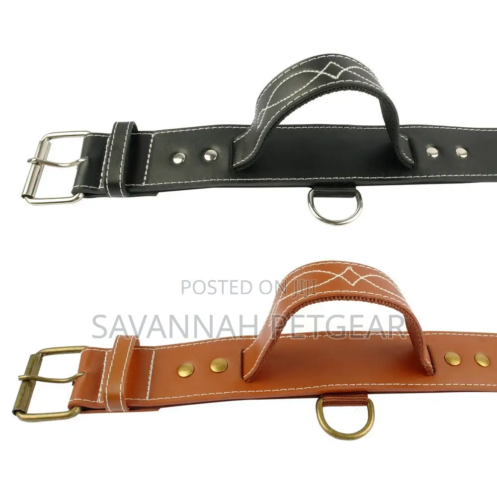 Quick Control Real Leather Dog Collar With Handle Dog