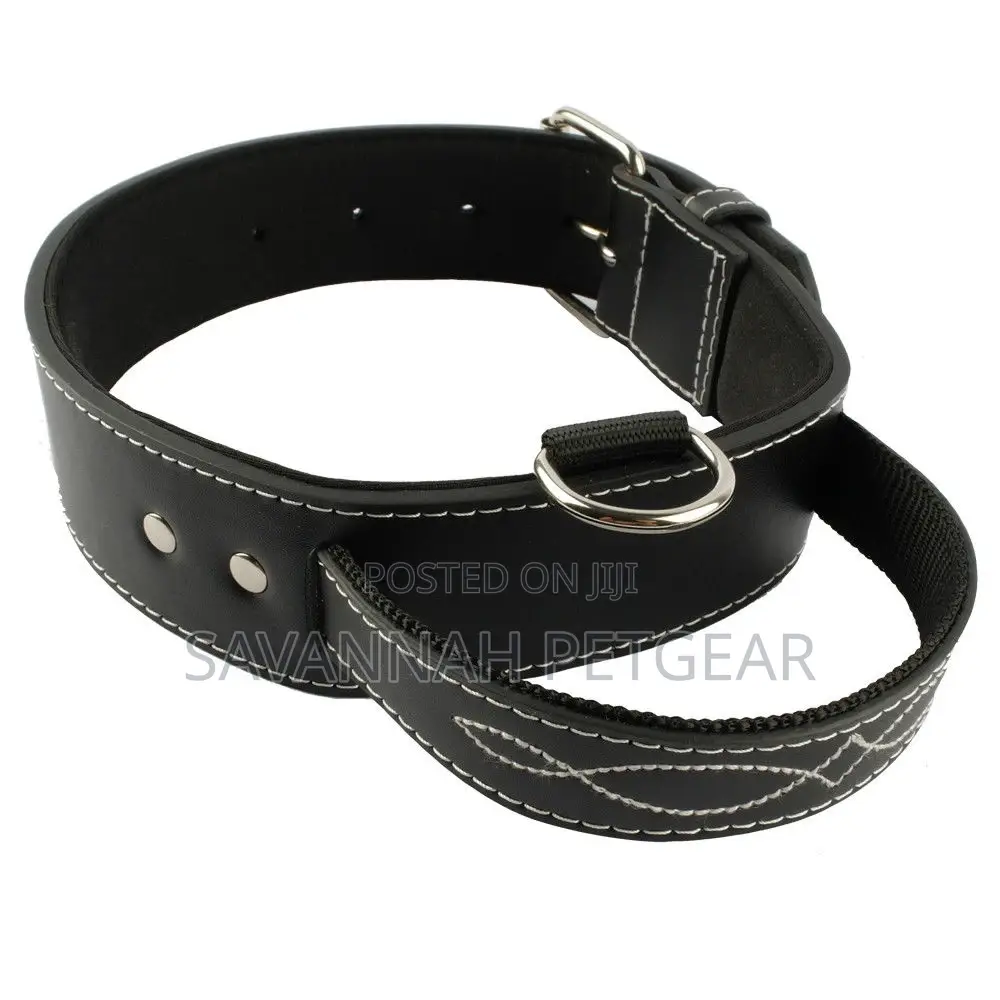 Quick Control Real Leather Dog Collar With Handle Dog