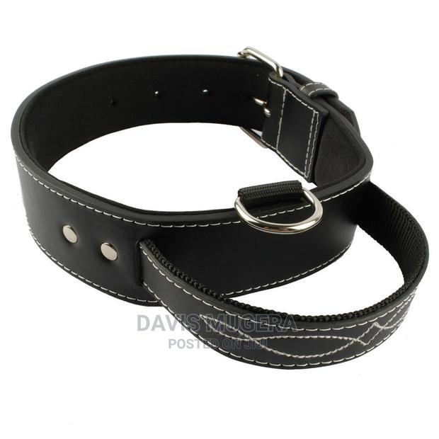 Quick Control Real Leather Dog Collar With Handle Dog - thumbnail 4