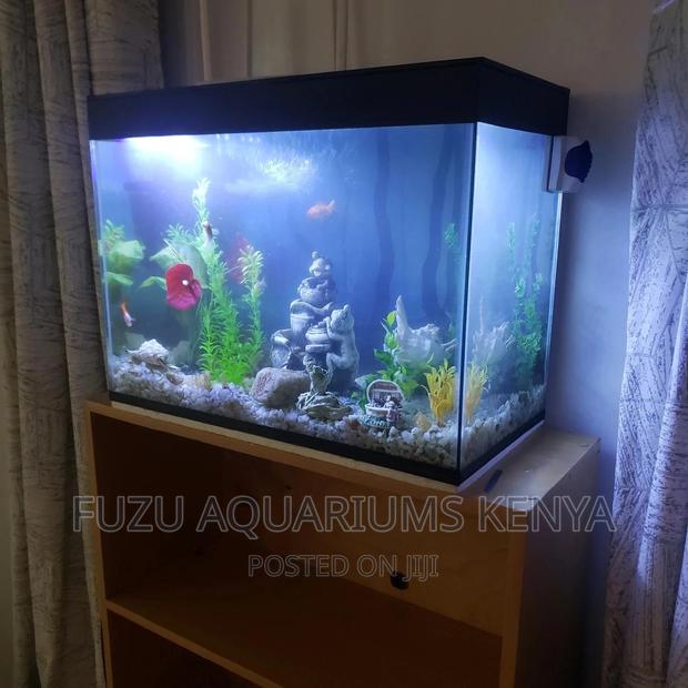 Decorative Aquarium - main view