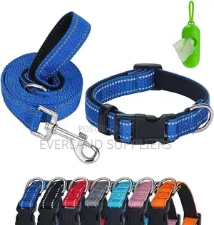 Dog Padded Collar and Leash