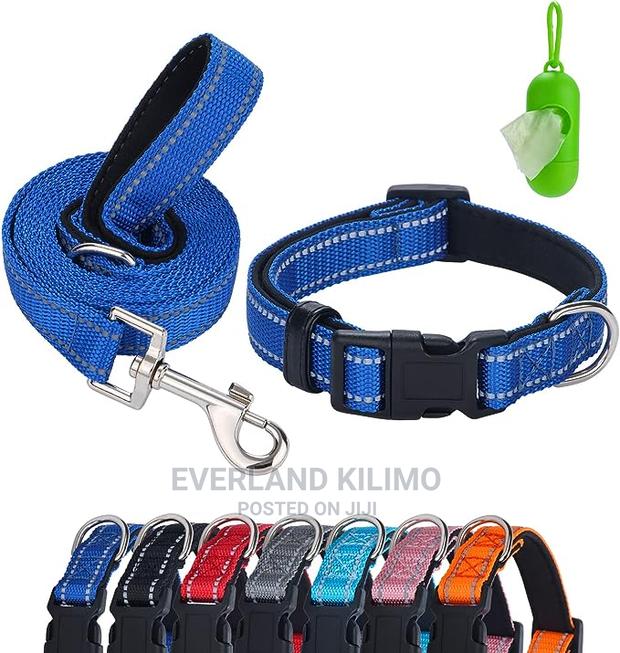 Dog Padded Collar and Leash - main view