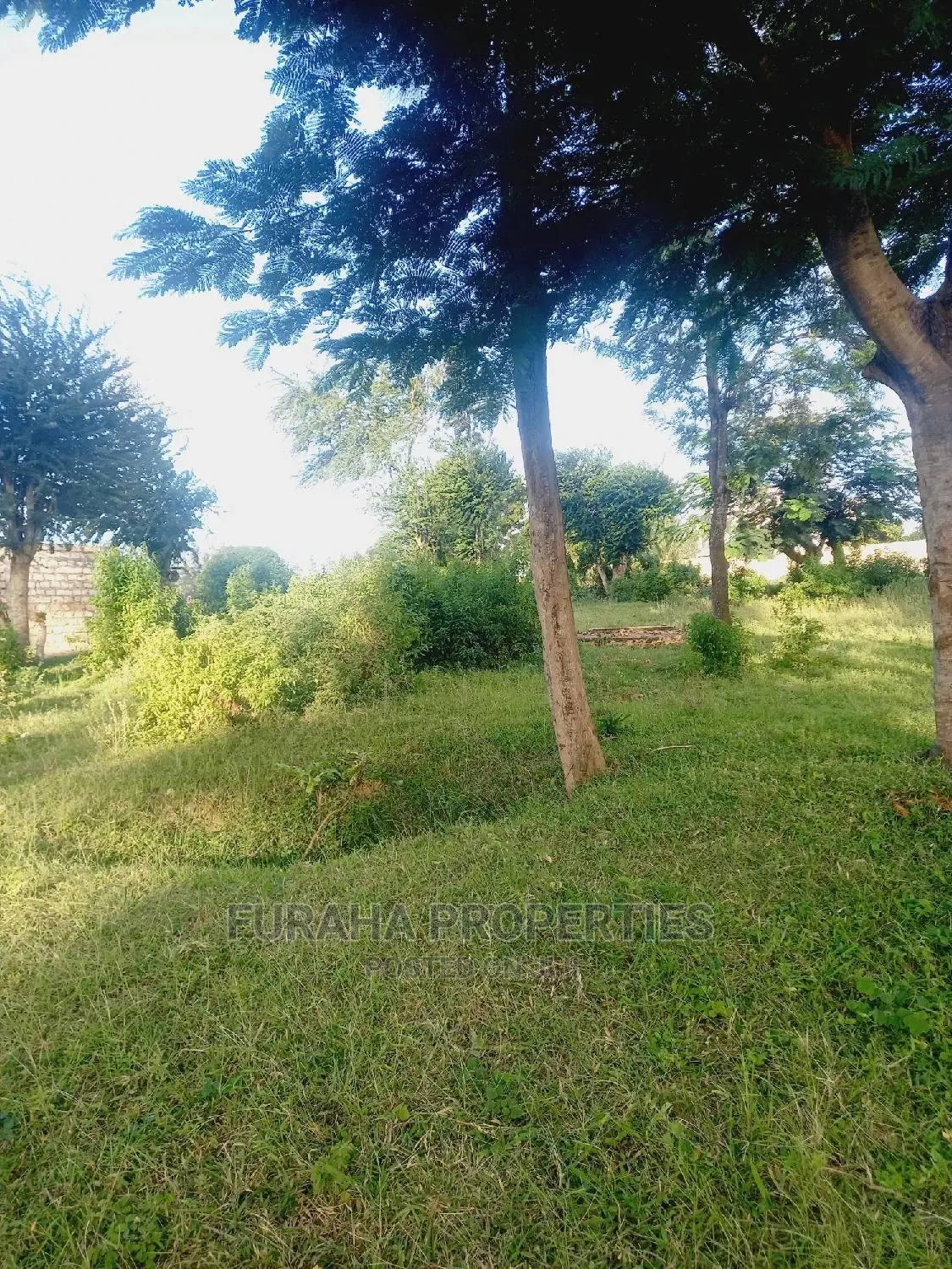 For Sale Several One Eighth Acre Plots Mtwapa
