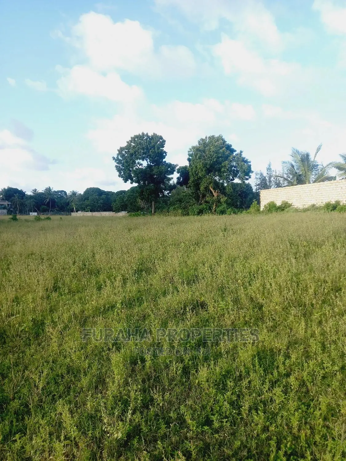 For Sale Several One Eighth Acre Plots Mtwapa