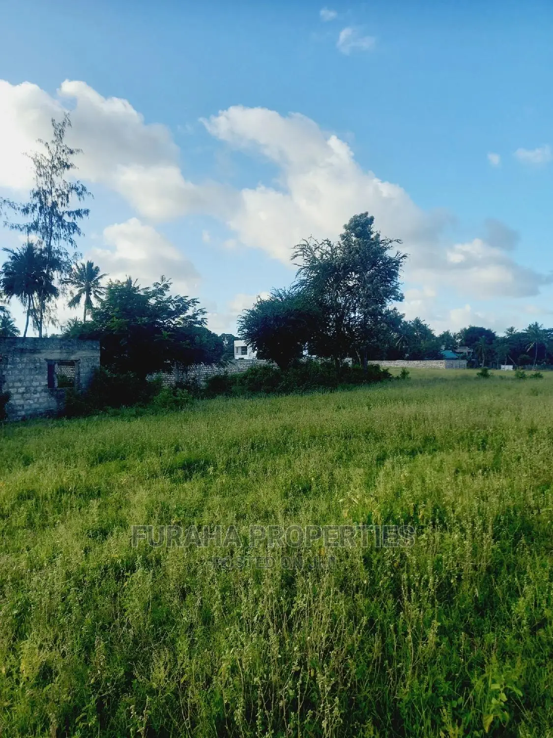 For Sale Several One Eighth Acre Plots Mtwapa