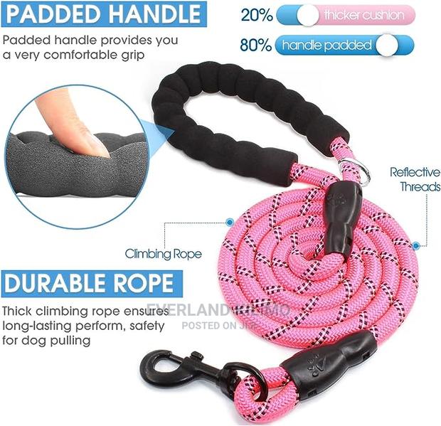 Reflective Braided Leash - main view
