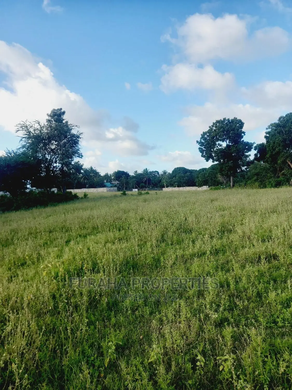 For Sale Several One Eighth Acre Plots Mtwapa