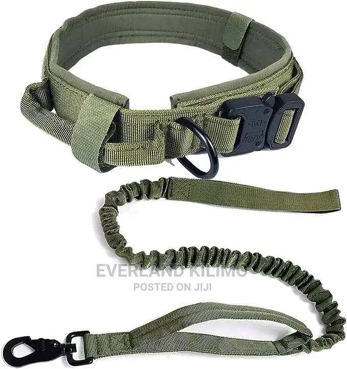 Jungle Green Tactical Dog Collar and Leash