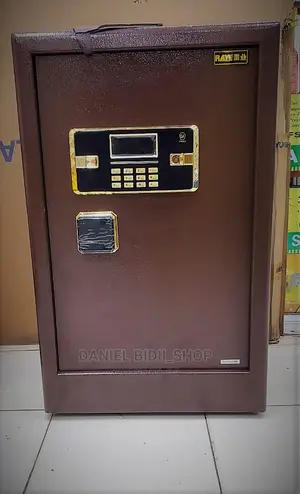 38*43*69 Money Safe