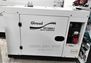 Dg11000se-3 12kva 3phase Silent Diesel Generator With Ats