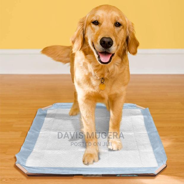 Simple Solution Dog Pad Holder – Portable Tray for Pet Train - thumbnail 5