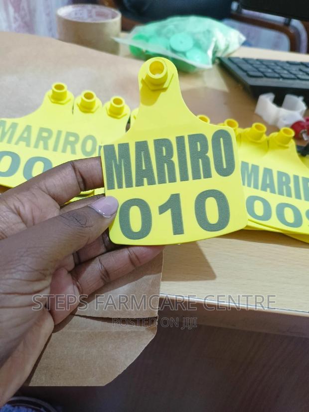 Cows Customised Ear Tags - thumbnail 3