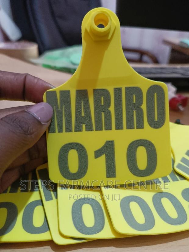 Cows Customised Ear Tags - main view