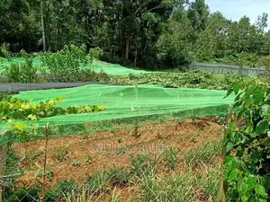 Bird Nets for Increased Productivity