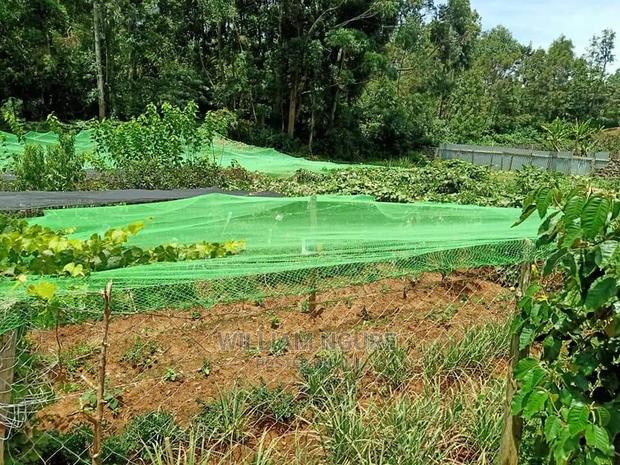 Bird Nets for Increased Productivity - thumbnail 3