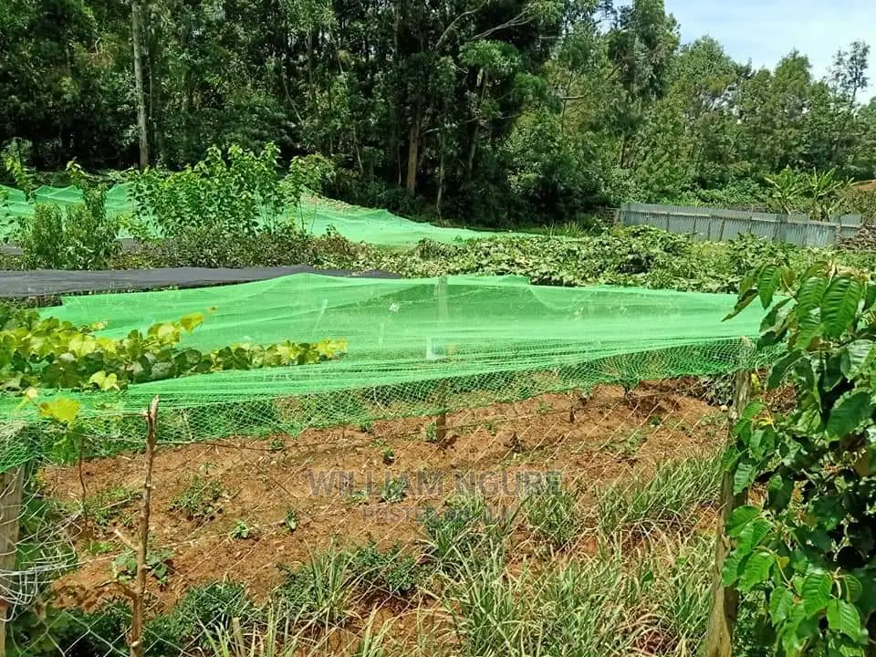 Bird Nets for Increased Productivity