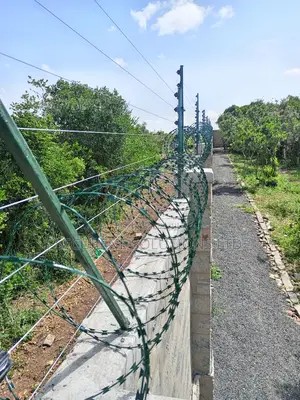 Razor Wire Green PVC Coated