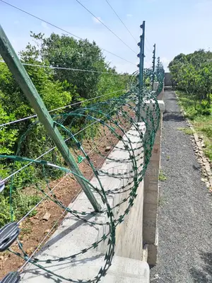 Razor Wire Green PVC Coated