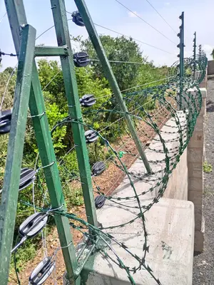 Razor Wire Green PVC Coated