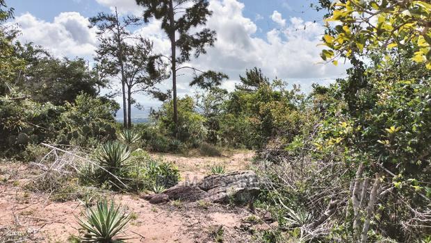 5 Acres Ocean View Property in Golini - thumbnail 4