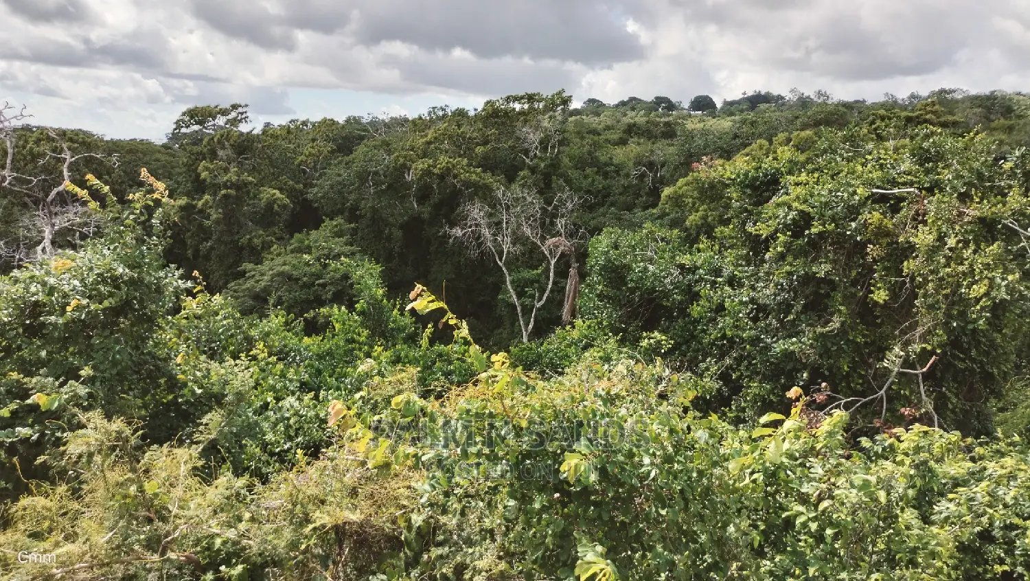 5 Acres Ocean View Property in Golini